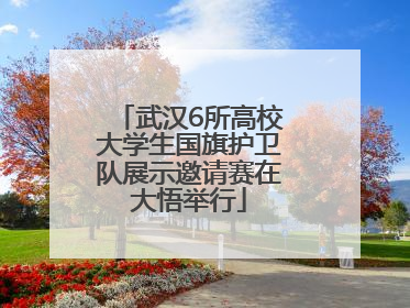 武汉6所高校大学生国旗护卫队展示邀请赛在大悟举行