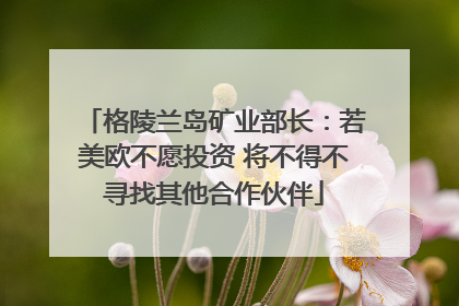 格陵兰岛矿业部长：若美欧不愿投资 将不得不寻找其他合作伙伴