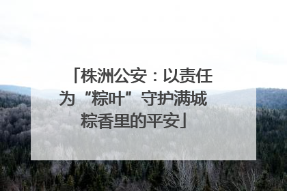 株洲公安：以责任为“粽叶”守护满城粽香里的平安