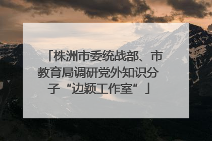 株洲市委统战部、市教育局调研党外知识分子“边颖工作室”