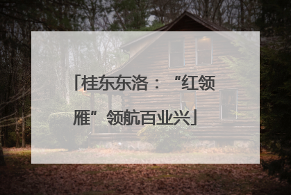 桂东东洛：“红领雁”领航百业兴