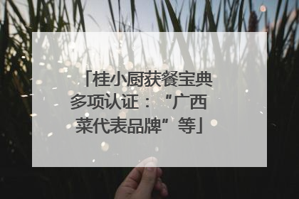 桂小厨获餐宝典多项认证：“广西菜代表品牌”等