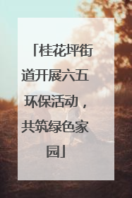 桂花坪街道开展六五环保活动，共筑绿色家园