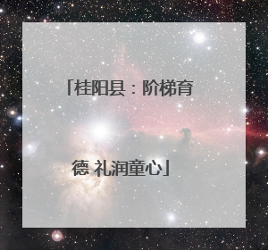 桂阳县：阶梯育德 礼润童心