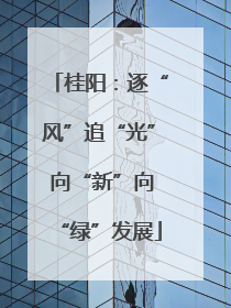 桂阳：逐“风”追“光” 向“新”向“绿”发展