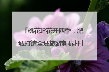 桃花IP花开四季，肥城打造全域旅游新标杆