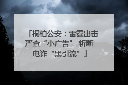 桐柏公安：雷霆出击严查“小广告” 斩断电诈“黑引流”