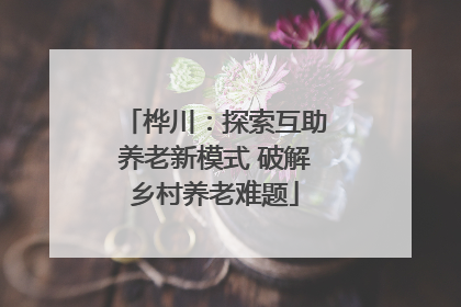 桦川：探索互助养老新模式 破解乡村养老难题