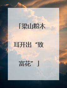梁山粉木耳开出“致富花”