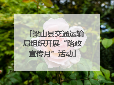 梁山县交通运输局组织开展“路政宣传月”活动