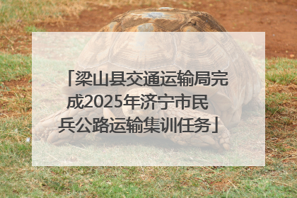 梁山县交通运输局完成2025年济宁市民兵公路运输集训任务