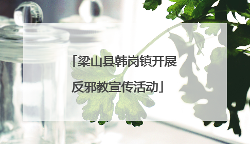 梁山县韩岗镇开展反邪教宣传活动
