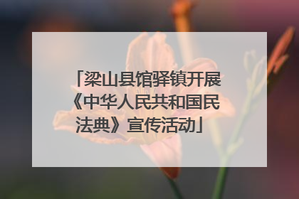 梁山县馆驿镇开展《中华人民共和国民法典》宣传活动