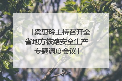梁惠玲主持召开全省地方铁路安全生产专题调度会议