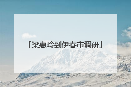 梁惠玲到伊春市调研