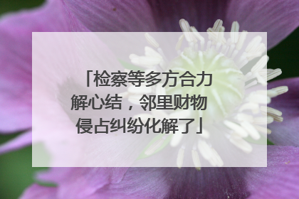 检察等多方合力解心结，邻里财物侵占纠纷化解了