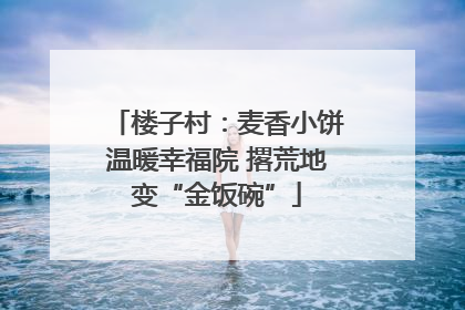 楼子村：麦香小饼温暖幸福院 撂荒地变“金饭碗”