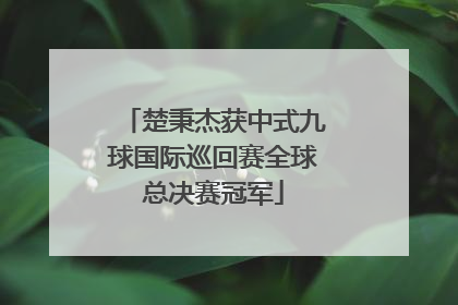 楚秉杰获中式九球国际巡回赛全球总决赛冠军