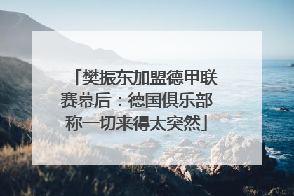 樊振东加盟德甲联赛幕后：德国俱乐部称一切来得太突然
