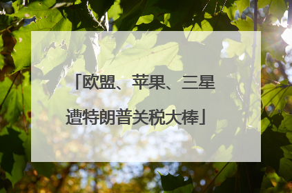 欧盟、苹果、三星遭特朗普关税大棒