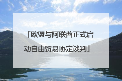 欧盟与阿联酋正式启动自由贸易协定谈判