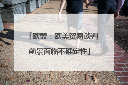 欧盟：欧美贸易谈判前景面临不确定性