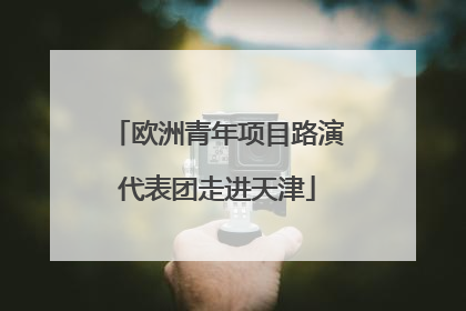 欧洲青年项目路演代表团走进天津