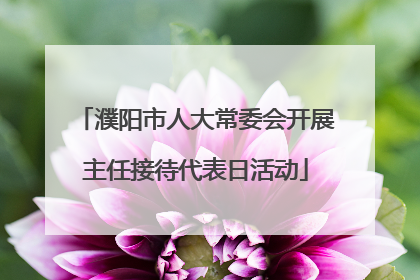 濮阳市人大常委会开展主任接待代表日活动