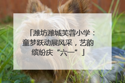 潍坊潍城芙蓉小学：童梦跃动展风采，艺韵缤纷庆“六一”