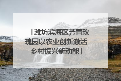 潍坊滨海区芳青玫瑰园以农业创新激活乡村振兴新动能