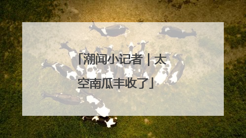 潮闻小记者｜太空南瓜丰收了