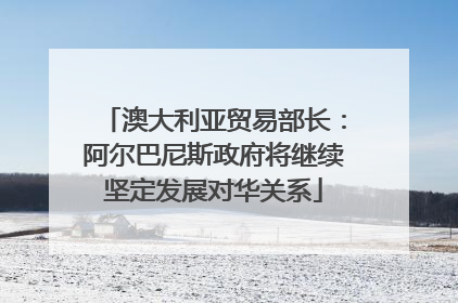 澳大利亚贸易部长：阿尔巴尼斯政府将继续坚定发展对华关系