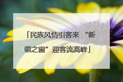 民族风情引客来 “新疆之窗”迎客流高峰
