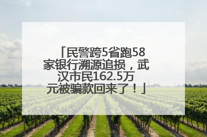 民警跨5省跑58家银行溯源追损，武汉市民162.5万元被骗款回来了！