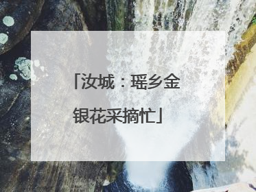 汝城：瑶乡金银花采摘忙