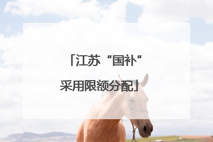 江苏“国补”采用限额分配