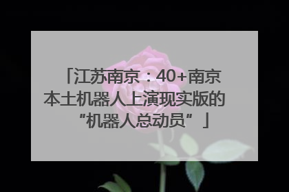 江苏南京：40+南京本土机器人上演现实版的“机器人总动员”