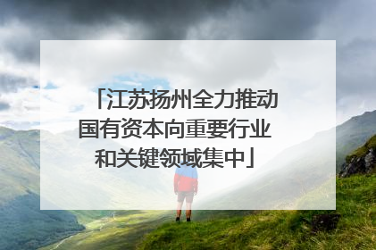 江苏扬州全力推动国有资本向重要行业和关键领域集中