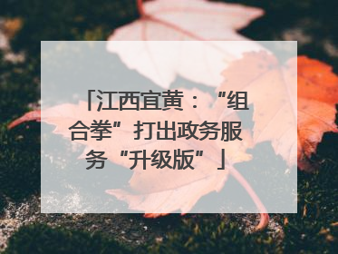 江西宜黄：“组合拳”打出政务服务“升级版”