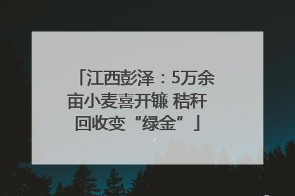 江西彭泽：5万余亩小麦喜开镰 秸秆回收变“绿金”