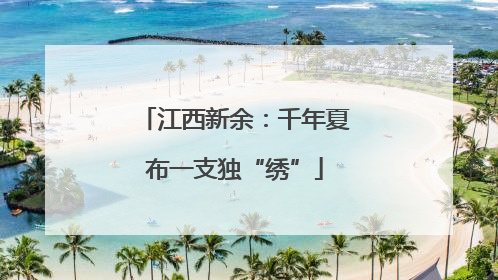 江西新余：千年夏布一支独“绣”