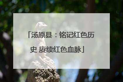 汤原县：铭记红色历史 赓续红色血脉