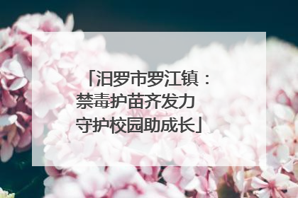 汨罗市罗江镇：禁毒护苗齐发力 守护校园助成长
