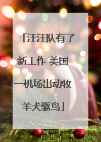 汪汪队有了新工作 美国一机场出动牧羊犬驱鸟