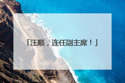 汪顺，连任副主席！