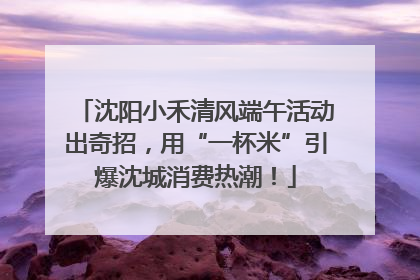 沈阳小禾清风端午活动出奇招，用“一杯米”引爆沈城消费热潮！