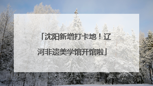 沈阳新增打卡地！辽河非遗美学馆开馆啦