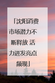 沈阳消费市场潜力不断释放 活力迸发亮点频现