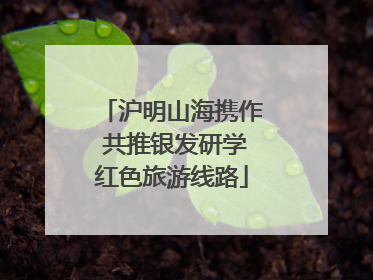 沪明山海携作 共推银发研学红色旅游线路