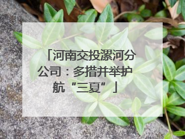 河南交投漯河分公司：多措并举护航“三夏”